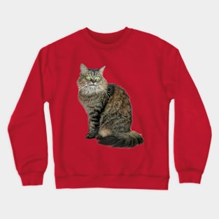 kitten Crewneck Sweatshirt